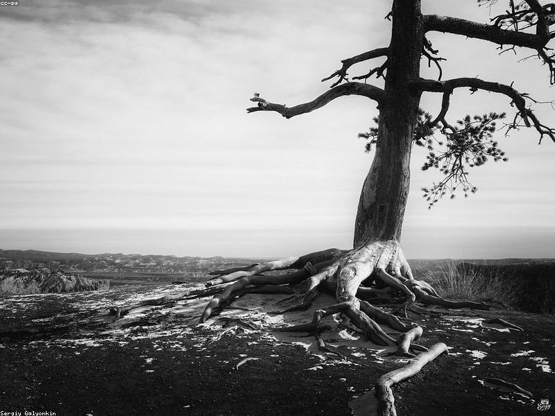 یافتن معنا بدون خدا